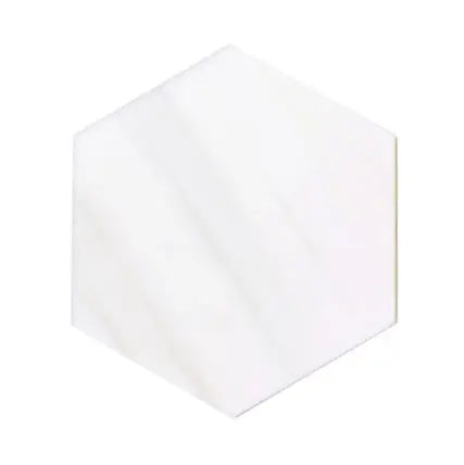 Bianco Dolomite marble 10-inch hexagon tile in a polished or honed finish.