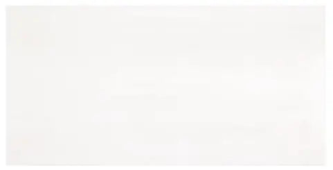 Bianco Dolomite honed 12×24 marble tile.