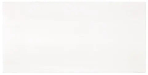 Bianco Dolomite polished 18×36 inches marble tile.