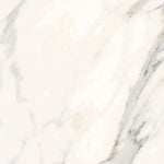Calacatta Gold Marble 12 x 12 Tile – Polished Finish – Luxury White & Gold Veining