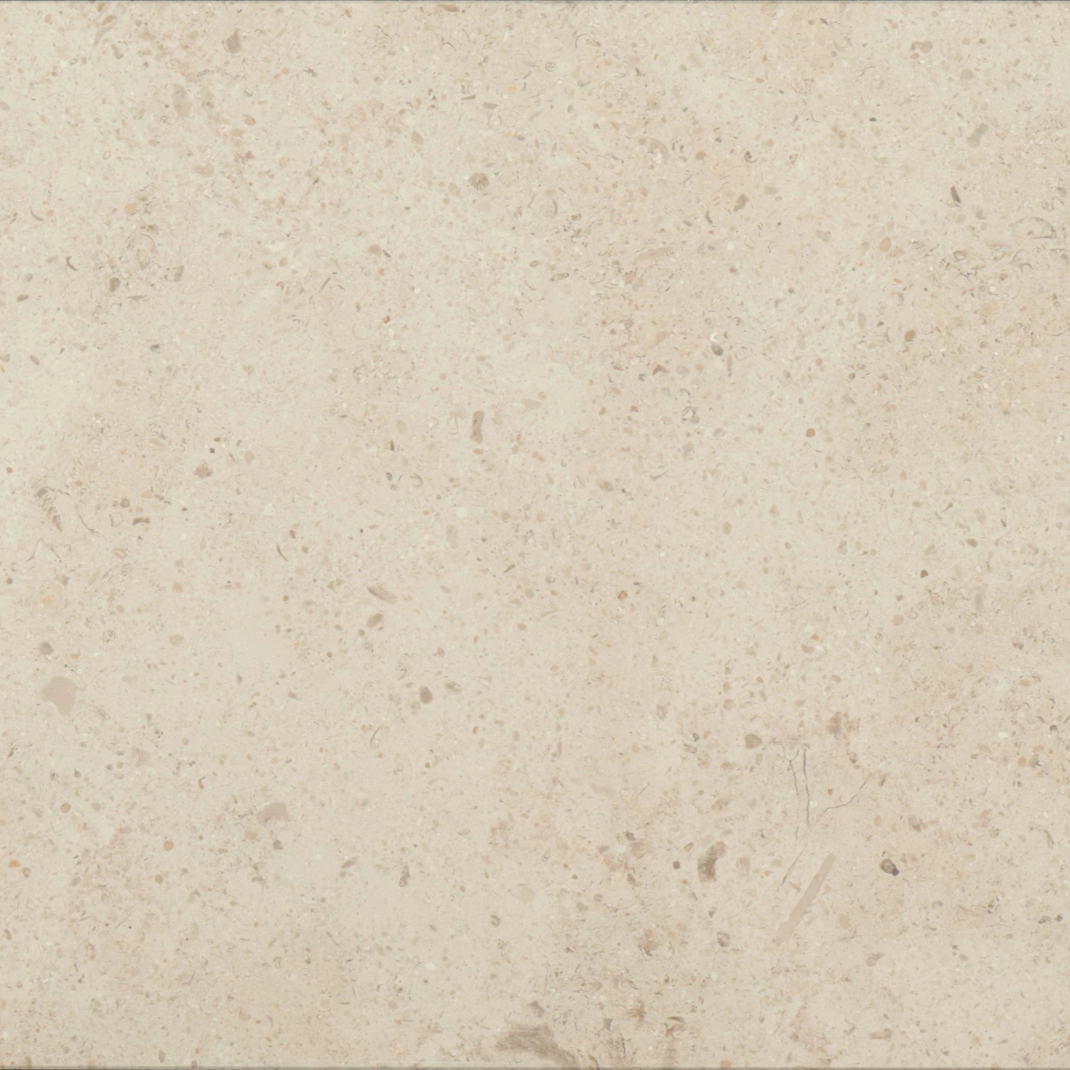 Gascogne Beige Limestone 12×12 honed tile with warm beige fossilized movement.