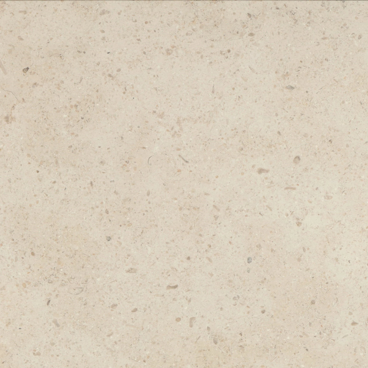 Gascogne Beige Limestone 18×18 honed tile with subtle fossil and tonal variation.