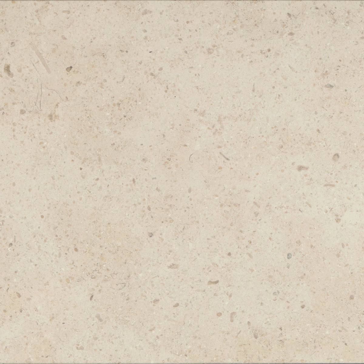 Gascogne Beige Limestone 24×24 honed large-format tile with soft natural movement.