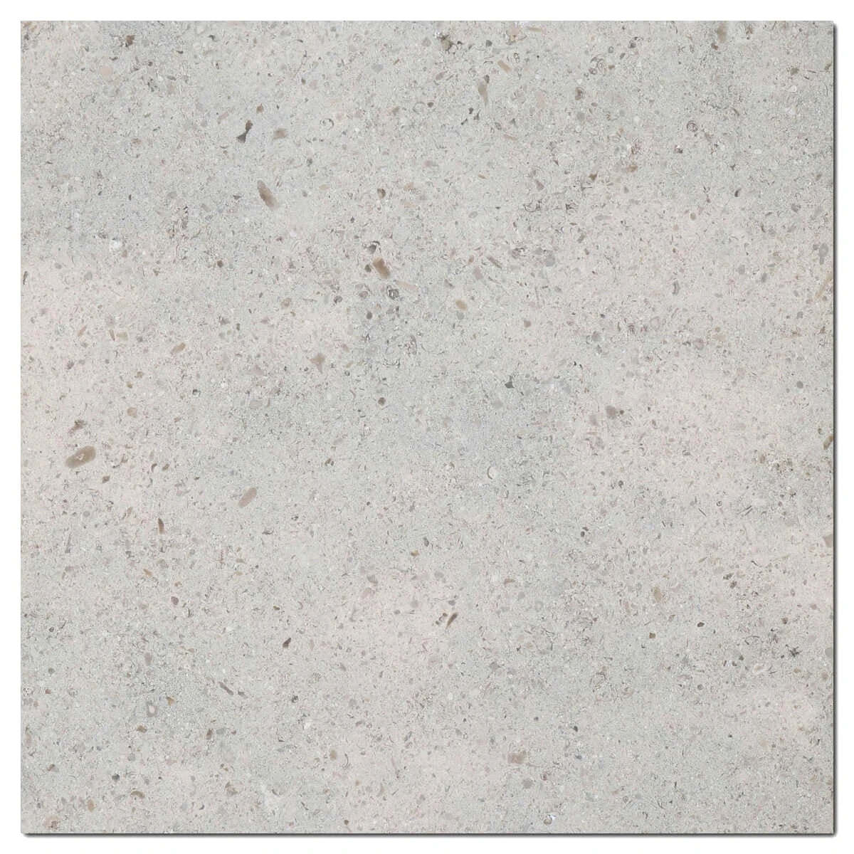 Gascogne Blue Limestone 12×12 honed tile with cool blue-gray movement.