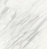 Calacatta Supreme 24 x 24 x 3/4 Tile - Tile