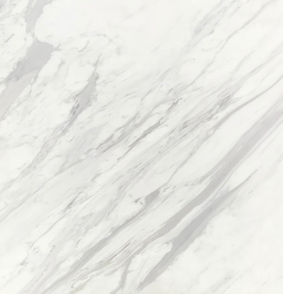 Calacatta Supreme marble 24×24×¾ polished tile with a white background and gray veining.