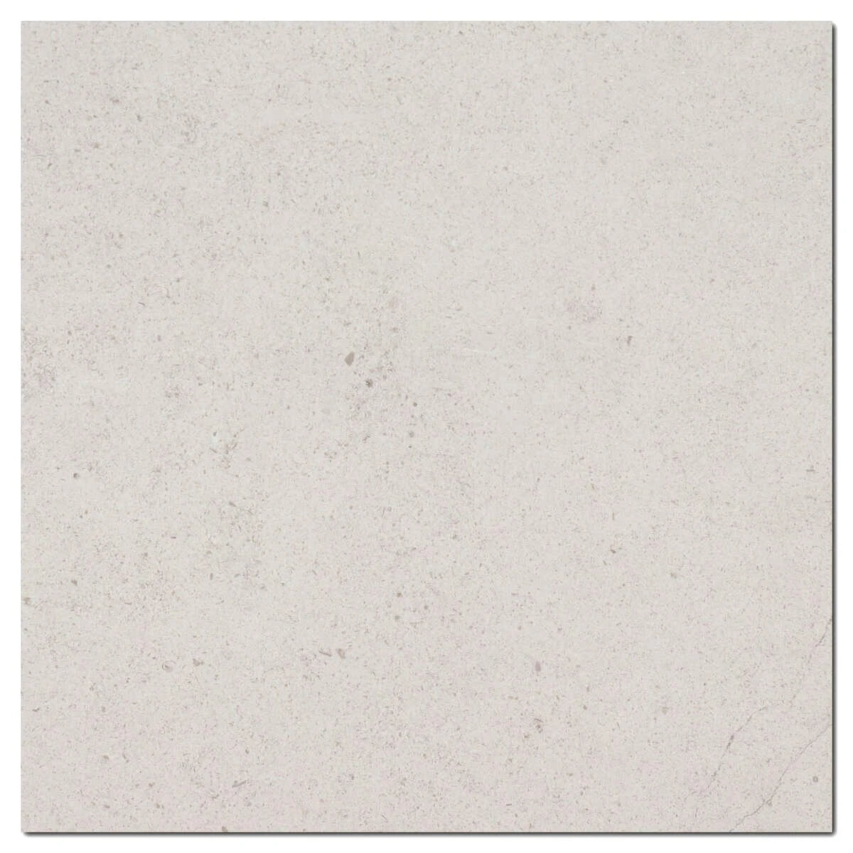 Porto Beige Limestone 12×12 honed tile in a consistent warm beige tone.