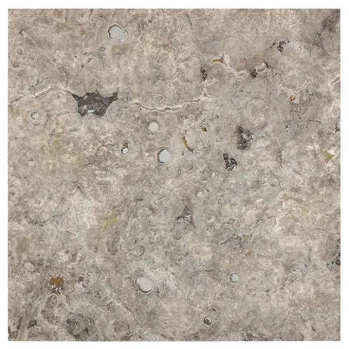 Silver Travertine 18×18 honed-and-filled tile with cool silver-gray movement.