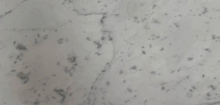 Carrara White Gioia marble polished 6×12 subway tile.