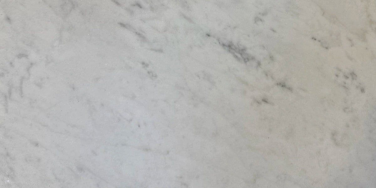 Carrara White Gioia marble 6×12 subway tile showing natural white and gray variation.