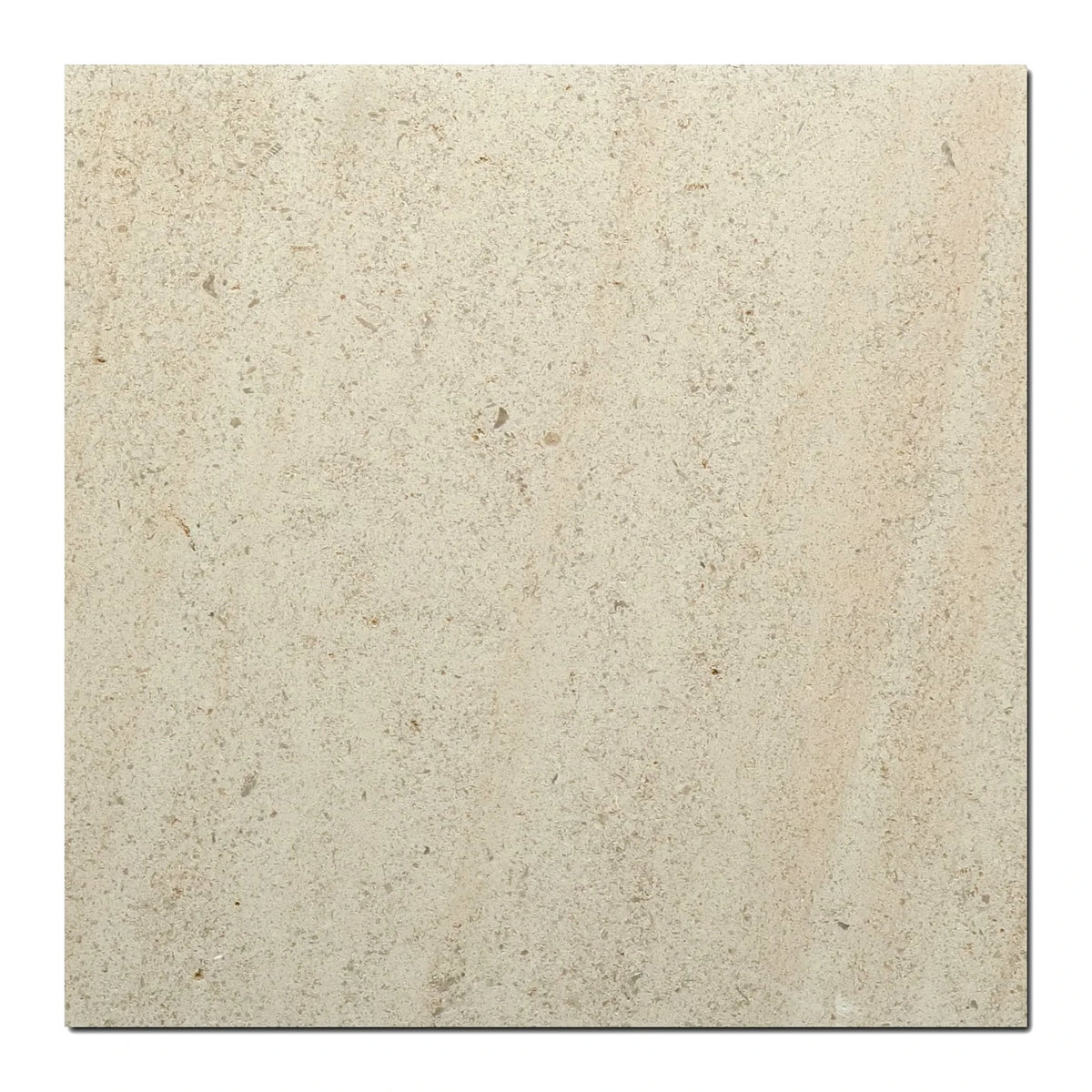 Beaumaniere Limestone 18×18 honed tile with warm neutral fossilized texture.