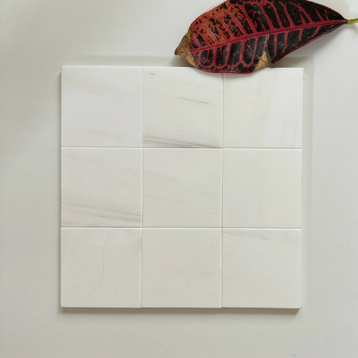 Reference image of Bianco Dolomite used in the Bianco Dolomite & Nero Marquina checkerboard pairing.