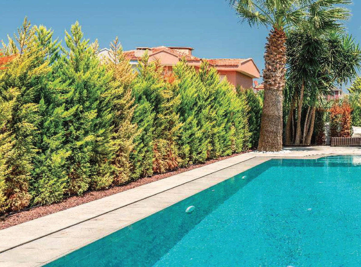 SeraPool Natural Piazza Cyan porcelain pool tile installed in a finished pool project