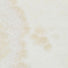 Polished Vanilla Onyx 18x18 tile in cross-cut style for seamless and luminous wall designs.”