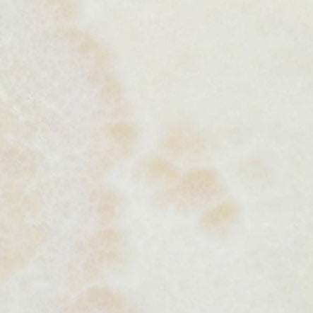 Polished Vanilla Onyx 18x18 tile in cross-cut style for seamless and luminous wall designs.”