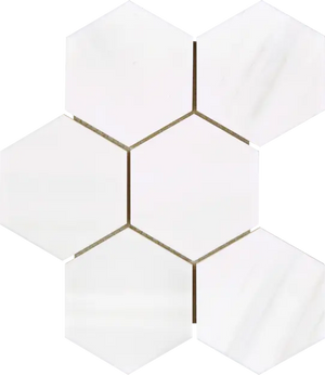 Bianco Dolomite 4-inch hexagon mosaic installed on an interior wall.