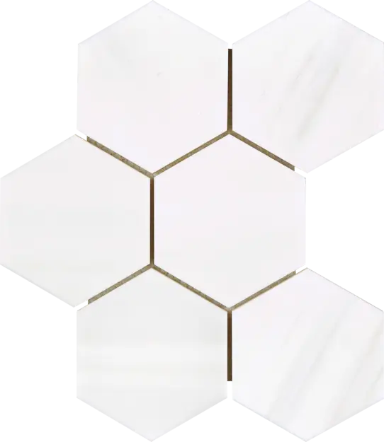 Bianco Dolomite 4-inch hexagon mosaic installed on an interior wall.