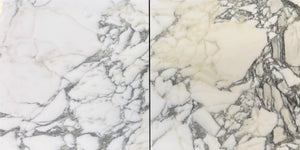 Arabescato Marble 12×12 marble tile showing 12×12 finish and natural stone variation
