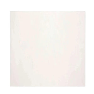 white dolomite dolomitic marble 12 x 12  tile polished honed commercial and residential interior and exterior shower backsplash countertop deck patio wall floor decorative Dolomitic marble, white dolomite, bianco dolomiti, white marble, white background with gray veining