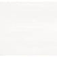 Bianco Dolomite 12 x 24 polished marble tile for large-format flooring and wall designs.