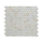 Gold Glass Penny-round mosaic tile creating a luxurious accent in a modern bathroom.