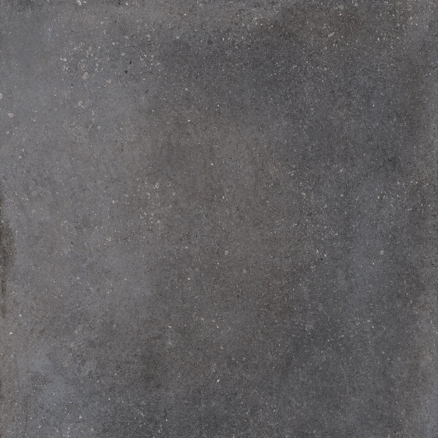 Charcoal Steel 24x24 porcelain tile with a contemporary concrete aesthetic.