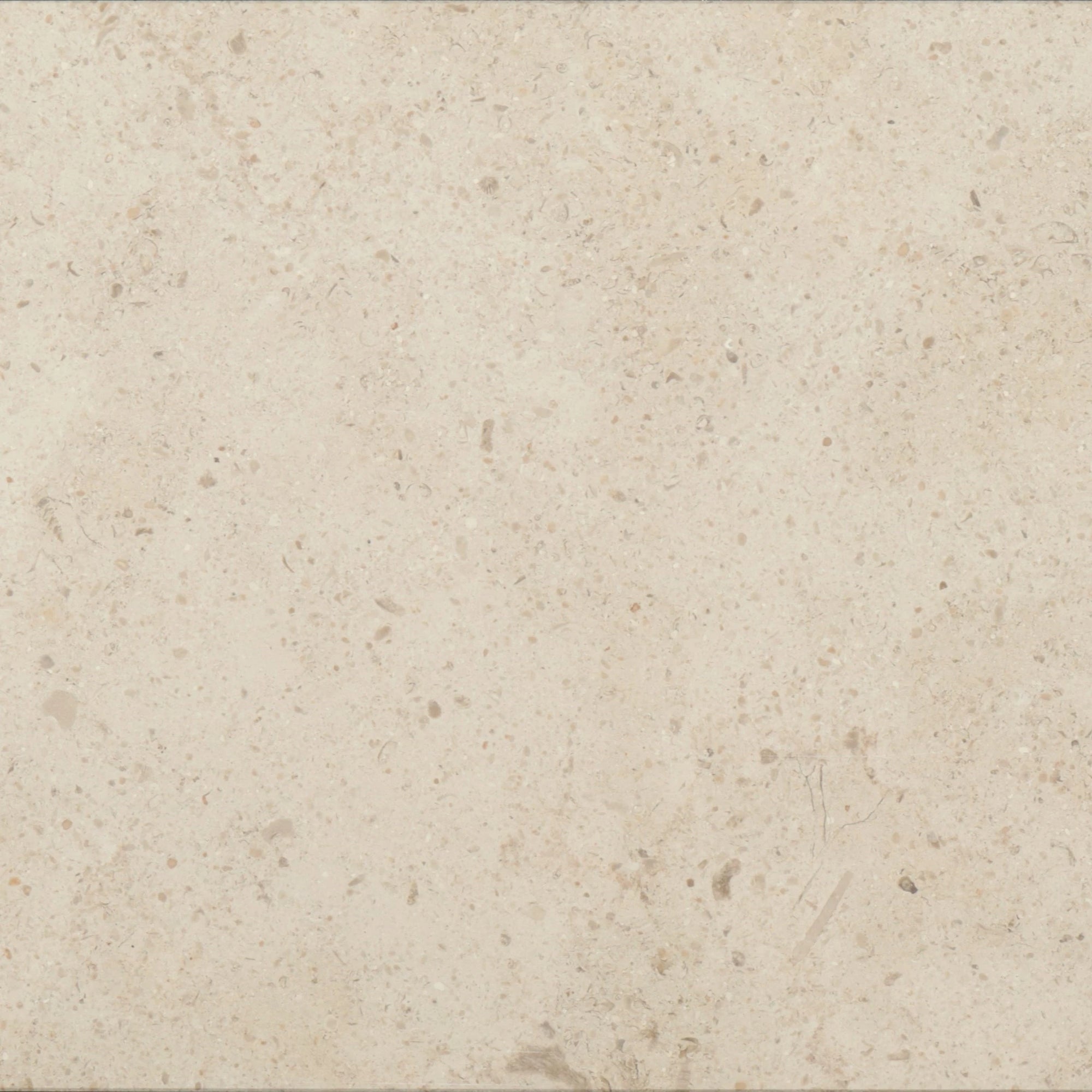 Gascogne Beige Limestone Tile: Warm Beige Elegance 