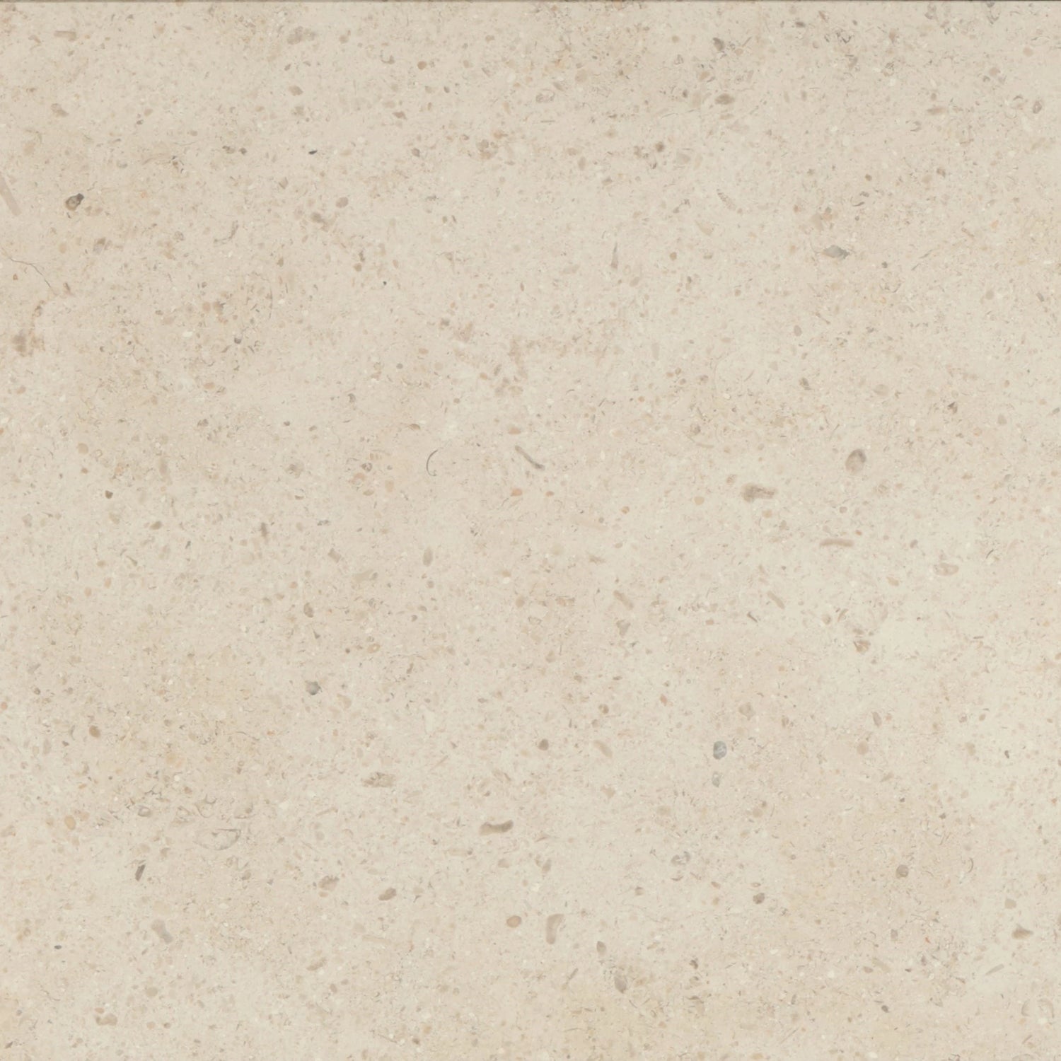 Transform your space with the timeless beauty of Gascogne Beige 18x18 Limestone