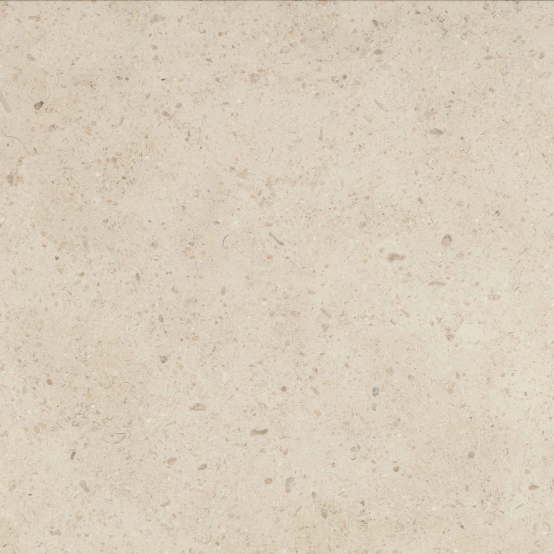 Transform your space with the timeless beauty of Gascogne Beige 18x18 Limestone