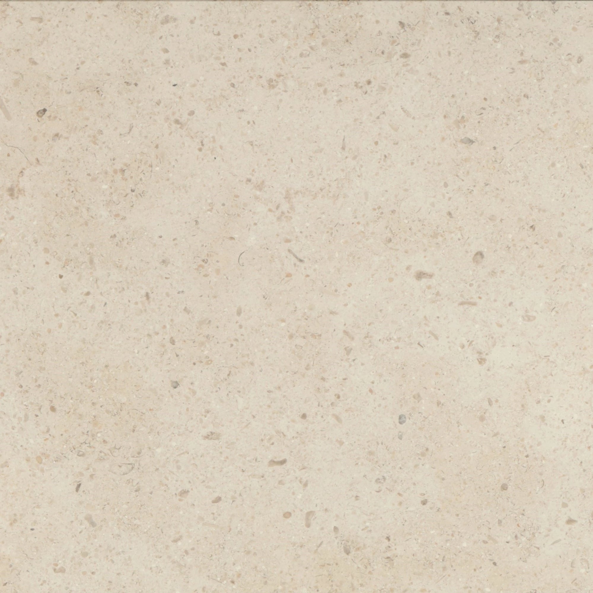 Transform your space with the timeless beauty of Gascogne Beige 18x18 Limestone
