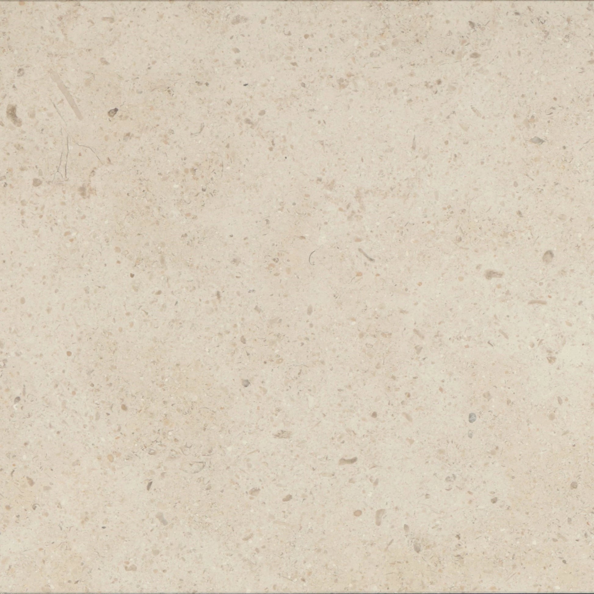 Gascogne Beige limestone 24x24 tile in warm beige tones for elegant interiors.