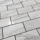 Calacatta Gold Marble Tile 12x24 Honed _ Batch 3543