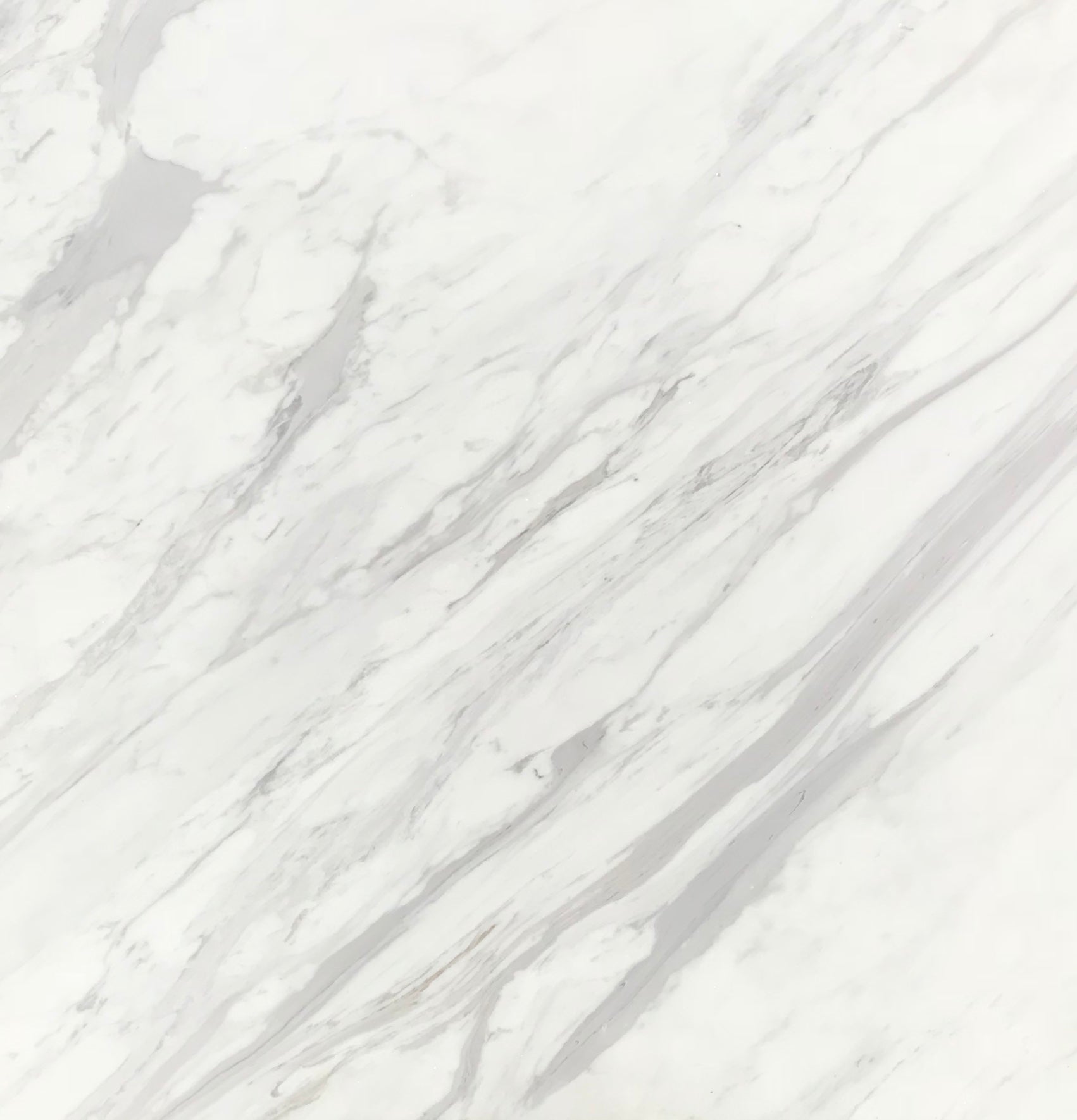 Calacatta Supreme 24 x 24 x 3/4 Tile - Tile  