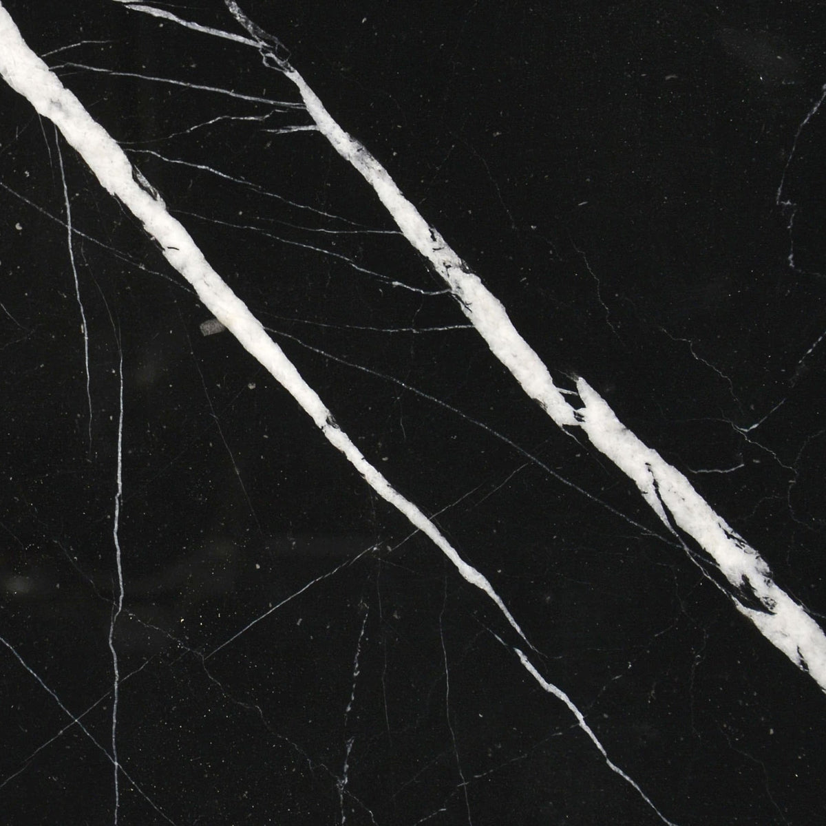 Nero Marquina marble 24×24 tile close-up, deep black stone with bold white veining.