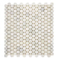 Oriental White Marble Penny Round Mosaic - mosaic  
