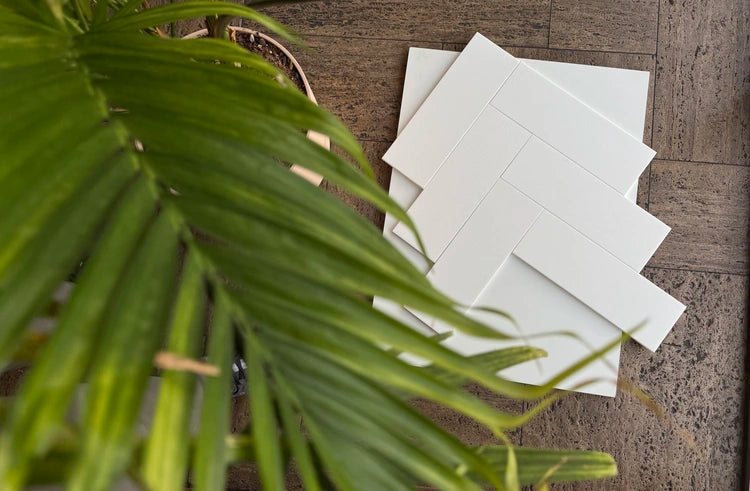 Stylish arrangement of White Thassos marble subway tiles with a polished finish, set against natural textures for a modern aesthetic.