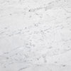 Carrara White Gioia Marble 24 x 24 Tile - Tile  