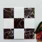 Rojo Alicante Bianco Dolomite Checkerboard Tiles Polished or Honed