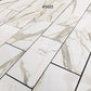 white color italian marble_large format