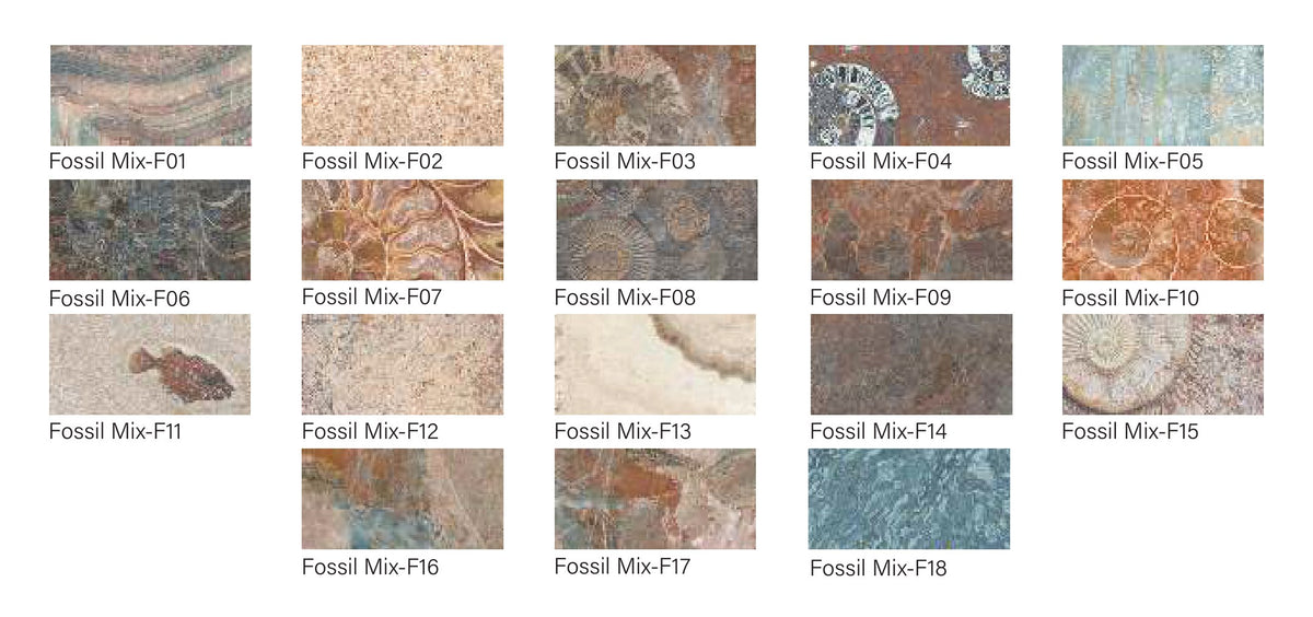 SeraPool Natural Fossil Mix porcelain pool tile, all 18 faces shipped mixed for random installation